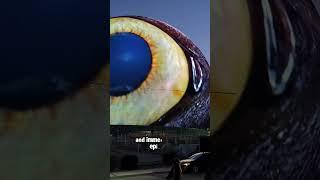 The Sphere: Las Vegas Structure ️