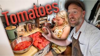 Tomatoes: Harvest | Cook & Preserve