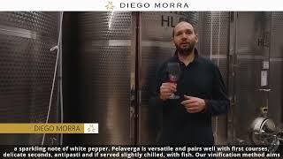 Diego Morra: Verduno Pelaverga DOC 2021