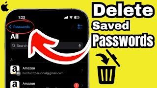 How to Delete Saved Passwords on iPhone 16 Pro/16 Pro Max, 15, 14, 13, 12, iPhone 11