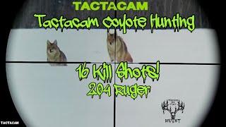 Coyote Hunting Tactacam POV Kill shots!