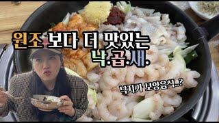 낙지 곱창 새우의 콜라보레이션!! 부산 낙곱새 숨은 고수의 맛