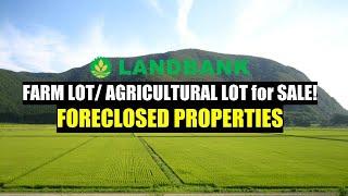 P48,000 TO P998K, FARMLOT AND AGRI LAND FROM LANDBANK FORECLOSED PROPERTIES FOR SALE!