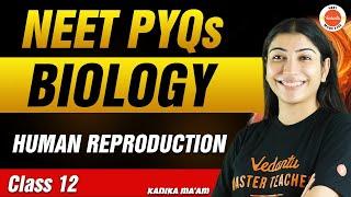 NEET PYQs for Human Reproduction | Class 12 Biology | NEET 2024