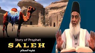 Story Of Prophet SALEH علیہ السلام | Dr Israr Ahmed |