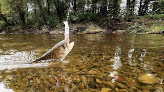 What about fishing? I checked the autumn river.