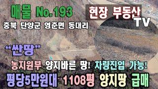 싼땅 단양 급매! 평당5만원대 1108평 주인 없는 땅 2400평 사용가능 양지 바른 땅 농지원부 만들기 좋은 땅 농사 짓기 좋은 땅 충북 단양군 영춘면 동대리 토지 단양부동산