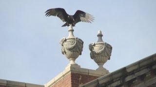 HALLOWEEN ASYLUM GHOSTS! Central State Hospital Milledgeville GA (2013) PRESERVE THESE BUILDINGS!