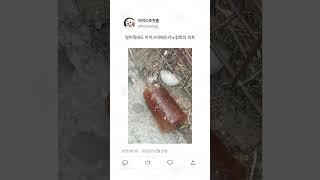 웃긴 상황들 20탄 ㅋㅋㅋㅋ