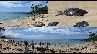 LANIAKEA BEACH - HALEIWA - OAHU - HAWAII