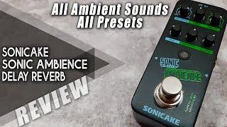 AWESOME Budget Mini DELAY-REVERB | SONICAKE Sonic Ambience | VIDEO REVIEW [NO TALK]