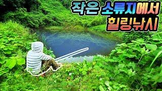 비 오는 날 산속 연못 같은 소류지에서 힐링낚시 feat: 쇠살모사,달팽이아재비  Carp Fishing on a rainy day