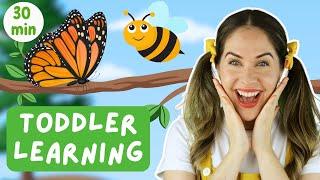 Bugs in the Garden!  Toddler Learning | Singing, movement & language learning fun with Ms Catherine