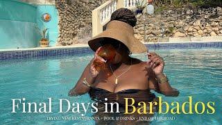 travel vlog | final days in Barbados + trying new restaurants + island apartment tour