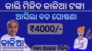 Kalia Yojana 8th Phase Money Transfer |Kalia Yojana Money Transfer Today