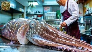 Explore Japanese cuisine, How chefs prepare 1000 delicious dishes from Cuttlefish - Emison Newman