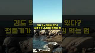 김도 먹는 방법이 있다? 전문가가 경고하는 김 먹는 법