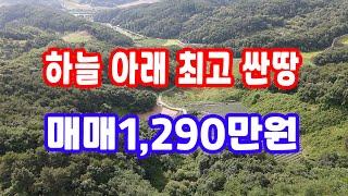 땅 시골 땅,매매1,290만원 평당2만원 급매물과 반값매매 1,096만원 급다운 급매물