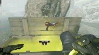 RAY GUN EVERY TIME GLITCH (Cold War Zombies)