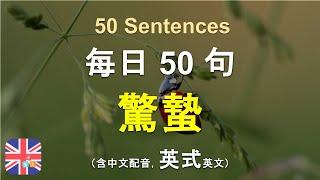 驚蟄來了｜學英式英文｜掌握春天到來的必備用語｜被動學英文｜十分鐘英文｜Sentences｜輕鬆學英文｜無壓力學英文｜自然學英文｜聽就會