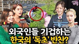 전 세계에서 오직 한국인만 쌓아놓고 먹는다는 것들ㅣ선넘은 미녀들 EP. 5