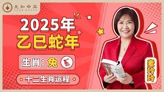 麦玲玲师傅详解2025蛇年运程：生肖兔！事业运、财运、人际关系、爱情、婚姻、健康全解析！