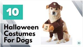 Top Halloween Costumes for Dogs- Funny Halloween Costumes for Dogs