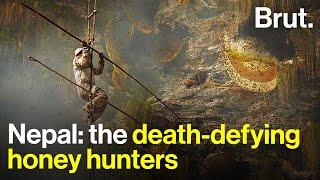 Nepal: the death-defying honey hunters