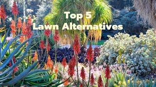 Top 5 Lawn Alternatives