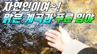 (초초초급매) 정말 조용한 1등급 자연속! 앞에는 계곡 뒤에는 임야 신축주택