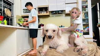 Bibi enlisted help dad when he busy cooking