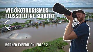 Ökotourismus schützt extrem gefährdete Flussdelfine | Borneo Expedition Folge 2