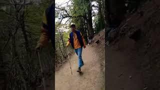 Hiking Mushkpuri Top #adventure #trending #viralvideo #youtubeshorts #nature #naturelover #hiking