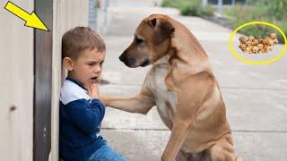 The dog begged the boy for help! But when the parents saw what happened, it was beyond words!