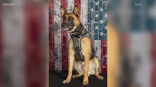 13 and 16-year-old plead guilty in K-9's shooting death