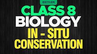 CLASS 8 BIOLOGY | IN - SITU CONSERVATION | XYLEM CLASS 8