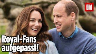 Offizieller Videokanal: William und Kate sind jetzt bei Youtube