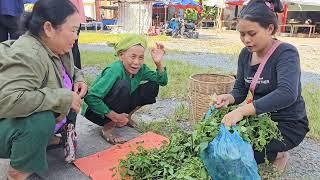 Harvest wild vegetables and sell them to earn money to support children's education