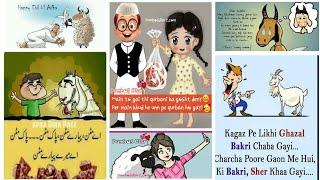 Happy Eid Ul Adha  /Bakra Eid Special Video  /Funny Poetry 