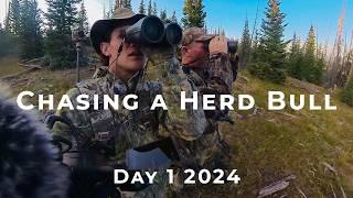 Chasing A Herd Bull on Day 1 2024 | Archery DIY Public Land