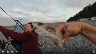 THE FISH ARE WEARING FACE MASKS AGAIN !! #seafishinguk #beachfishing  #bristolchannel