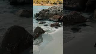 Cala Portese#сардиния #отдыхвиталии #travel #sardegna #пляж #shorts #морелазурное #островмечты