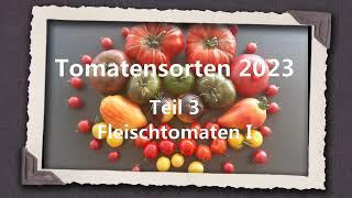 Tomatensorten 2023 Teil 3 - Fleischtomaten I