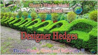 Shaan's Wonder World !! Creative World !!! Designer Hedges !! Please Watch Share and Subscribe !!!