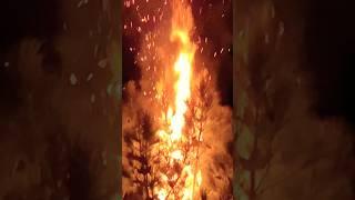 Fire will distroy myNo one can stop #fire #nature #allah #allahﷻ #viral #shortsvideo #top10 #1m