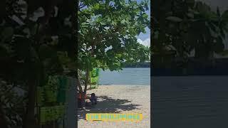 LAZY DAY ON HAKUPAN   MARINDUQUE THE PHILIPPINES 