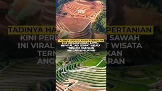 Tadinya Hanya Lahan Pertanian Kini Perkampungan Sawah Ini Viral