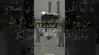 القرآن الكريم.... تلاوة خاشعة..  آيات من الذكر الحكيم