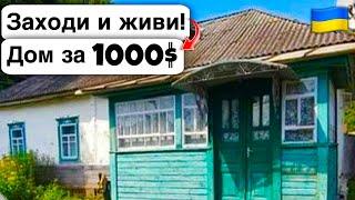  Заходи и живи! Дом в селе за 1000$ Продажа недвижимости за копейки! Всё есть Уютное тихое село!