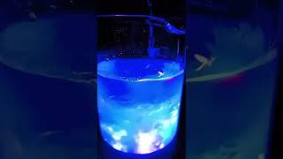 Watch Chemistry in Action with This Stunning Mixture